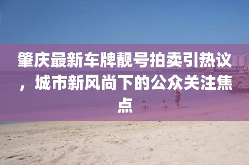 肇慶最新車牌靚號(hào)拍賣引熱議，城市新風(fēng)尚下的公眾關(guān)注焦點(diǎn)