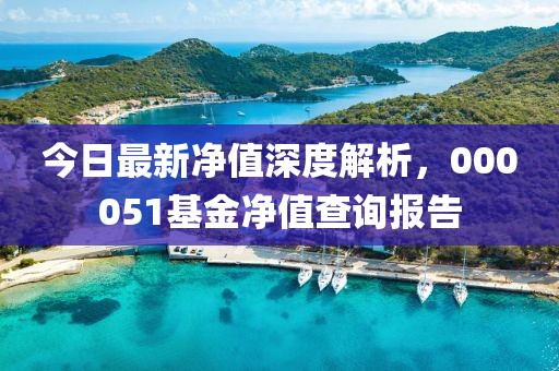 今日最新凈值深度解析，000051基金凈值查詢報告