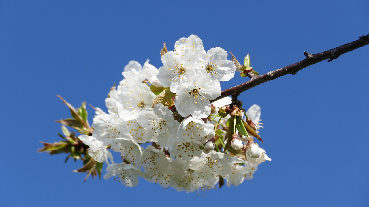 興永郴贛鐵路進(jìn)展順利，助力區(qū)域經(jīng)濟(jì)發(fā)展新動(dòng)態(tài)