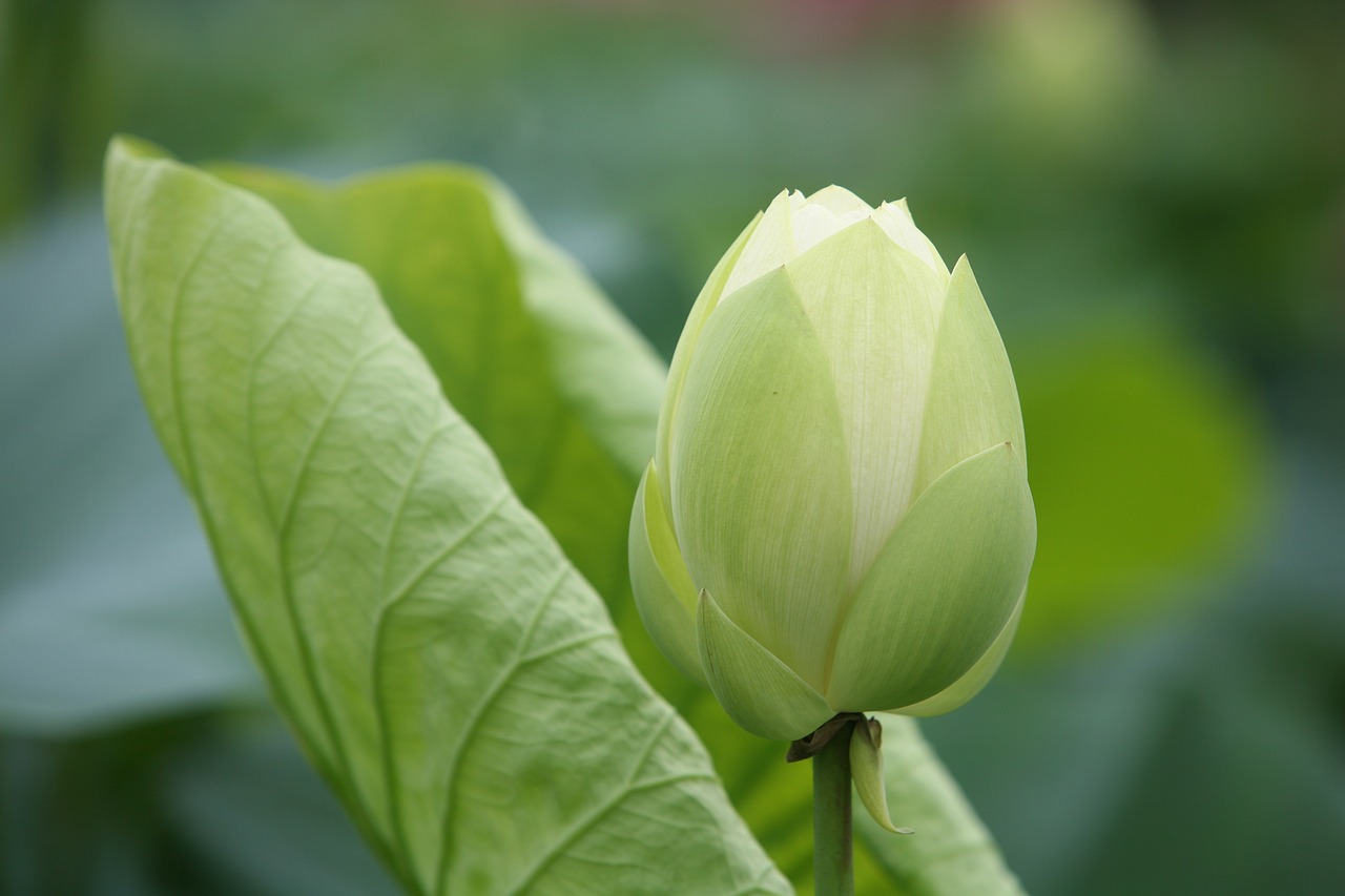 大地傳媒重組最新動(dòng)態(tài)，重塑傳媒產(chǎn)業(yè)格局取得重大進(jìn)展