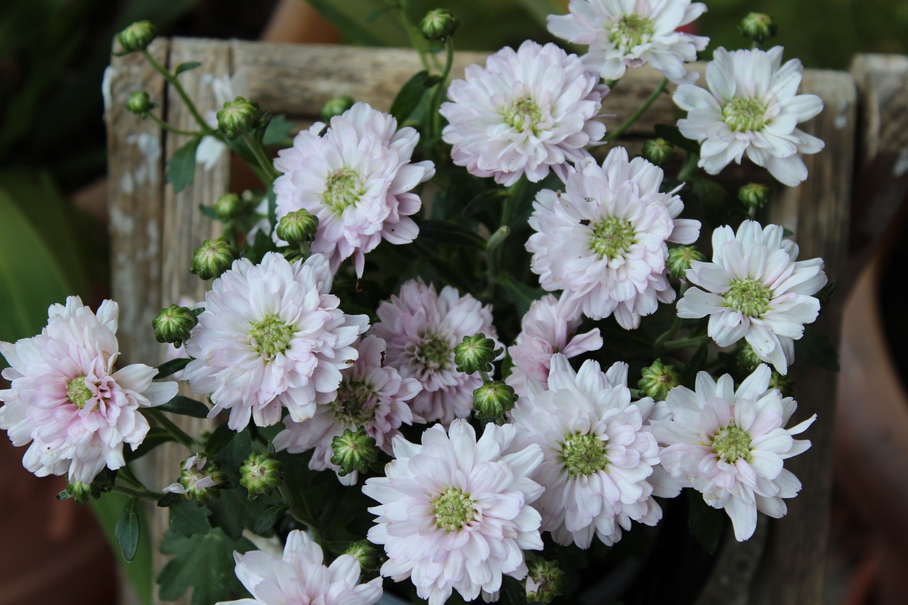 丹陽(yáng)昆侖華府最新動(dòng)態(tài)解析，深度了解最新消息