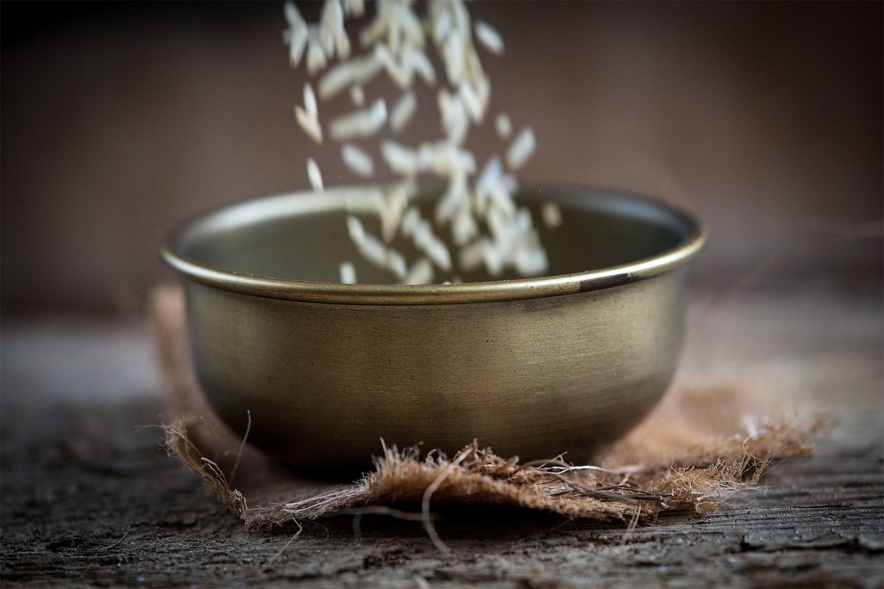 日照未來城最新動(dòng)態(tài)，城市發(fā)展的輝煌新篇章