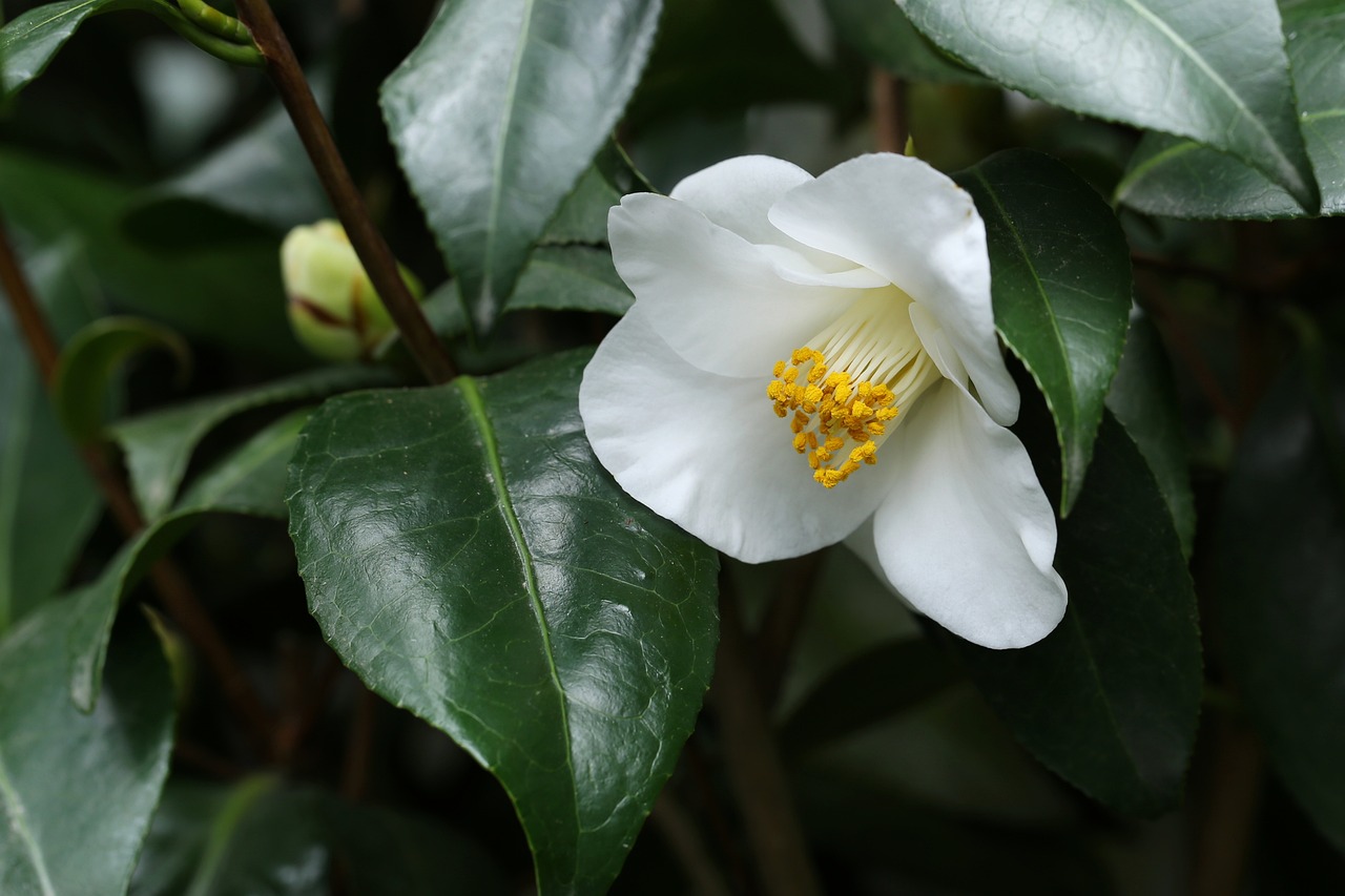 我只愿開(kāi)心 第20頁(yè)
