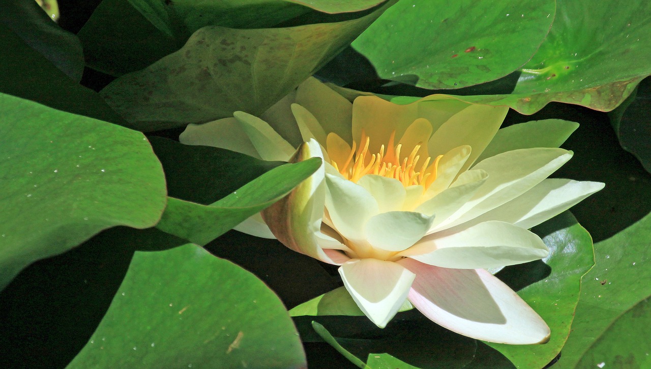 江門瓏湖灣未來繁華啟幕，最新動態(tài)揭示未來發(fā)展新篇章
