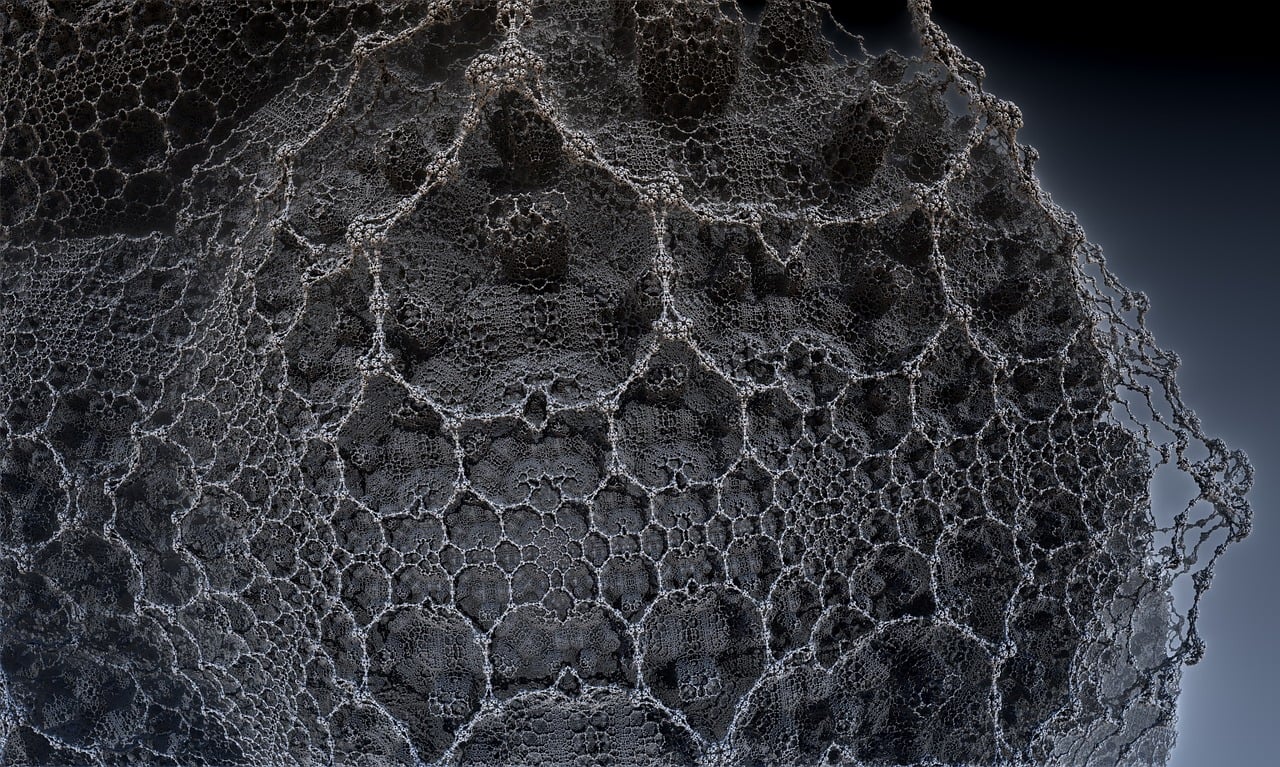 湛江李昌梧最新動(dòng)態(tài)，傳奇人物的嶄新篇章