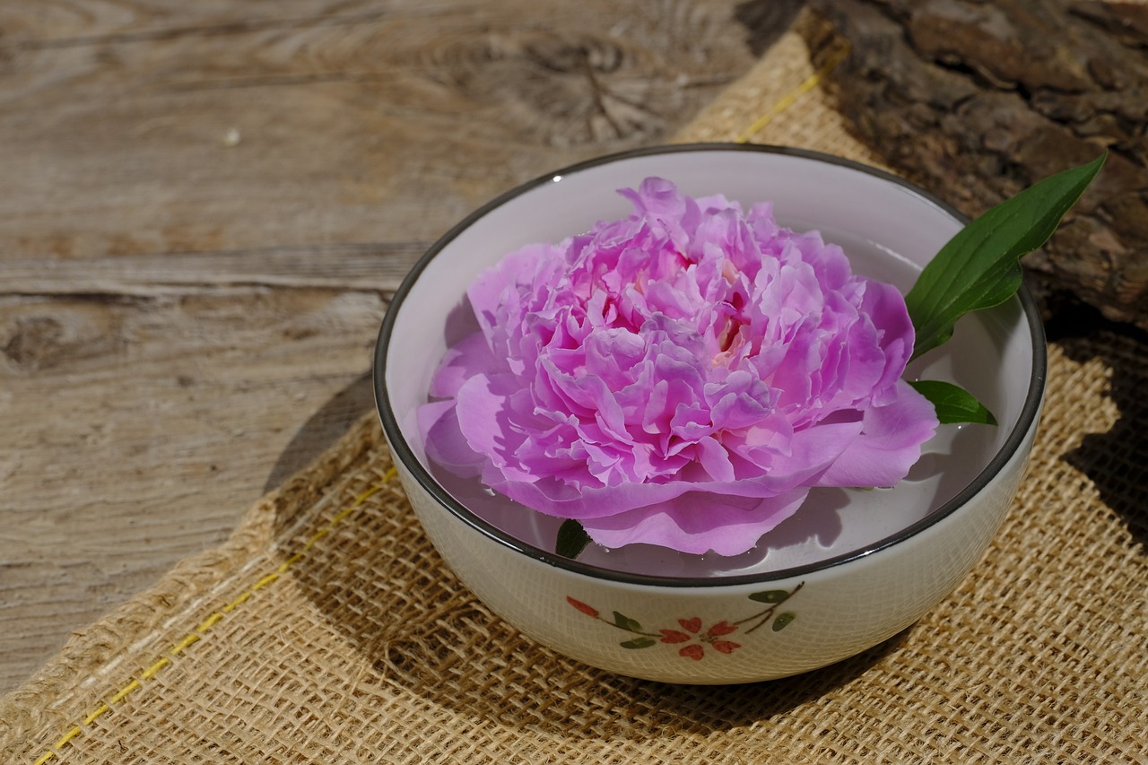 大康牧業(yè)利好消息深度解析，最新動(dòng)態(tài)帶來積極前景