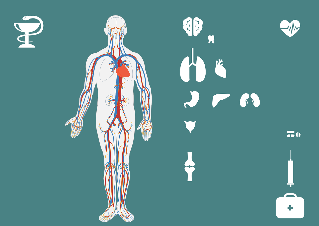 急診搶救流程圖優(yōu)化，提升搶救成功率與急救服務(wù)質(zhì)量