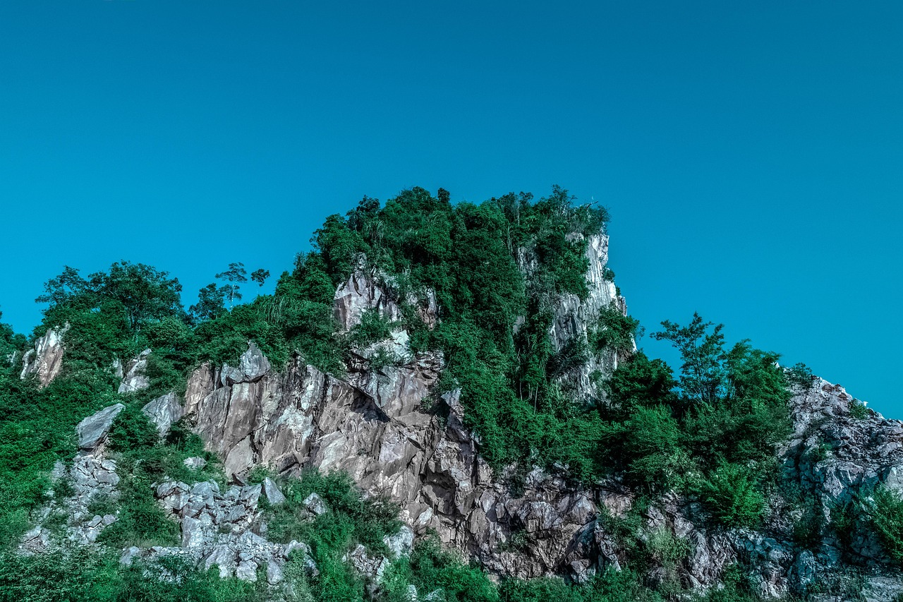傳藝科技股票最新消息綜述，掌握最新動態(tài)，洞悉股市走向