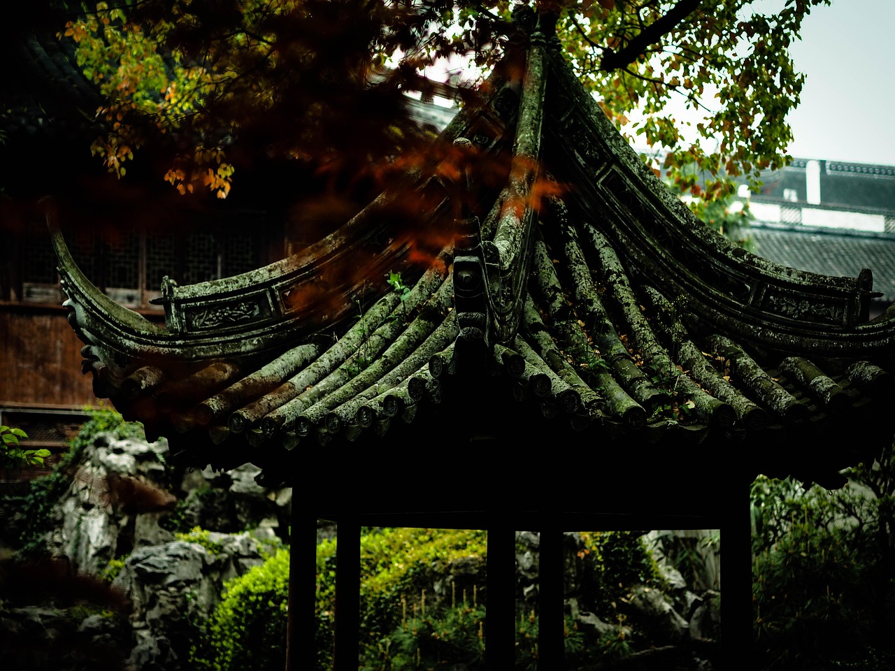中國(guó)女排隊(duì)蓄勢(shì)待發(fā)，展現(xiàn)新篇章，最新消息與動(dòng)態(tài)速遞