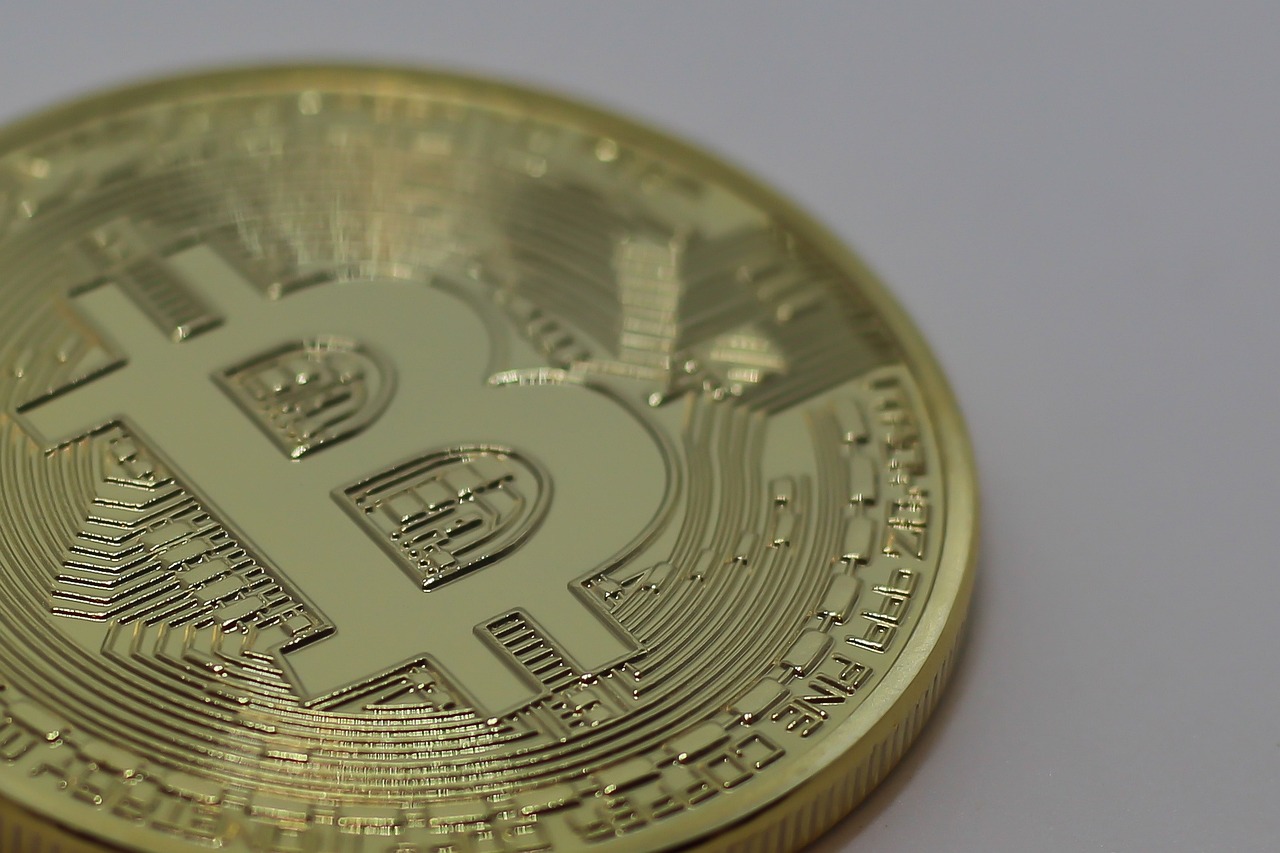 最新石金錢龜價格行情分析與趨勢預(yù)測