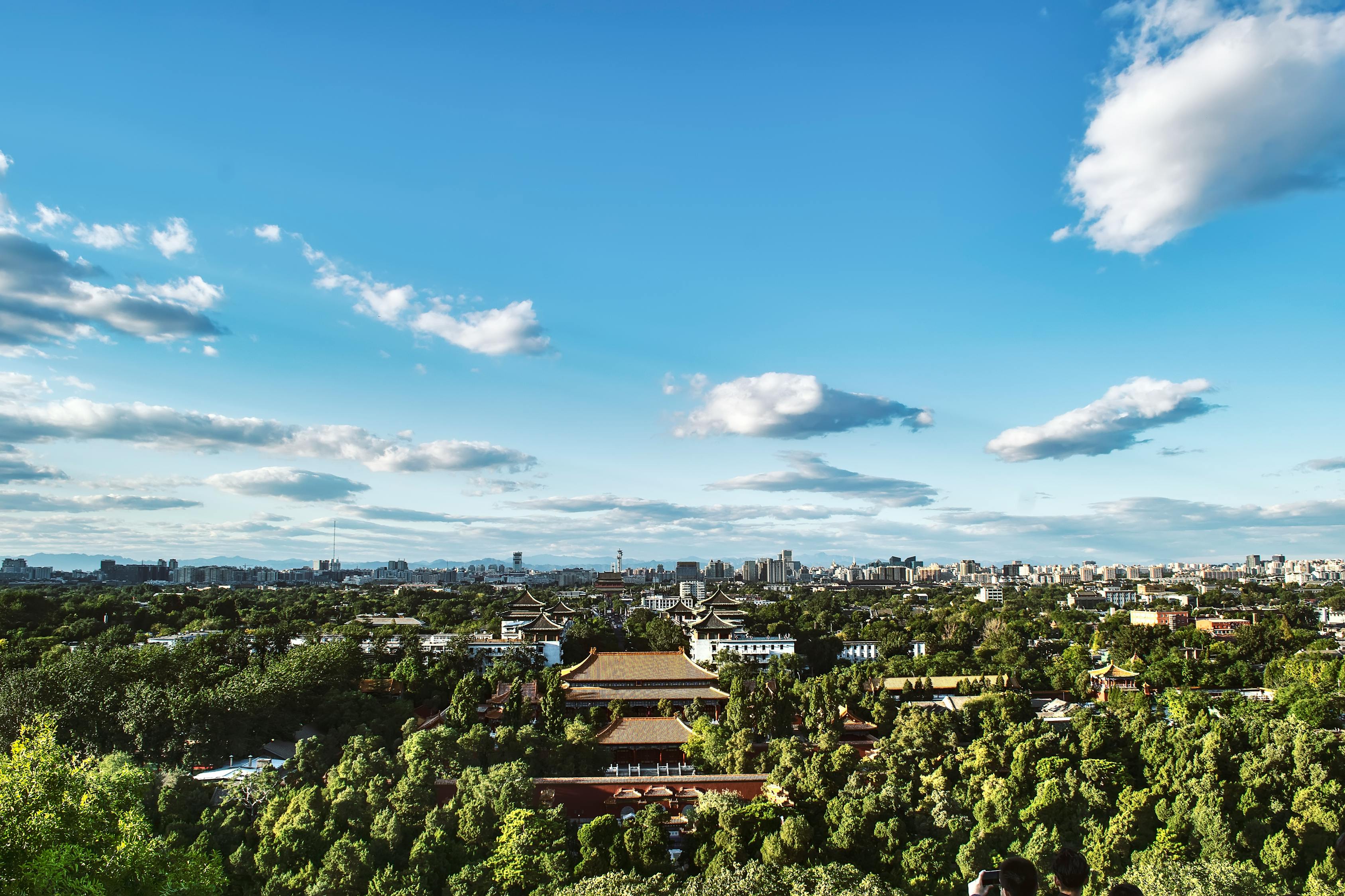 長(zhǎng)沙洞井路最新動(dòng)態(tài)，城市發(fā)展與民生改善同步前行