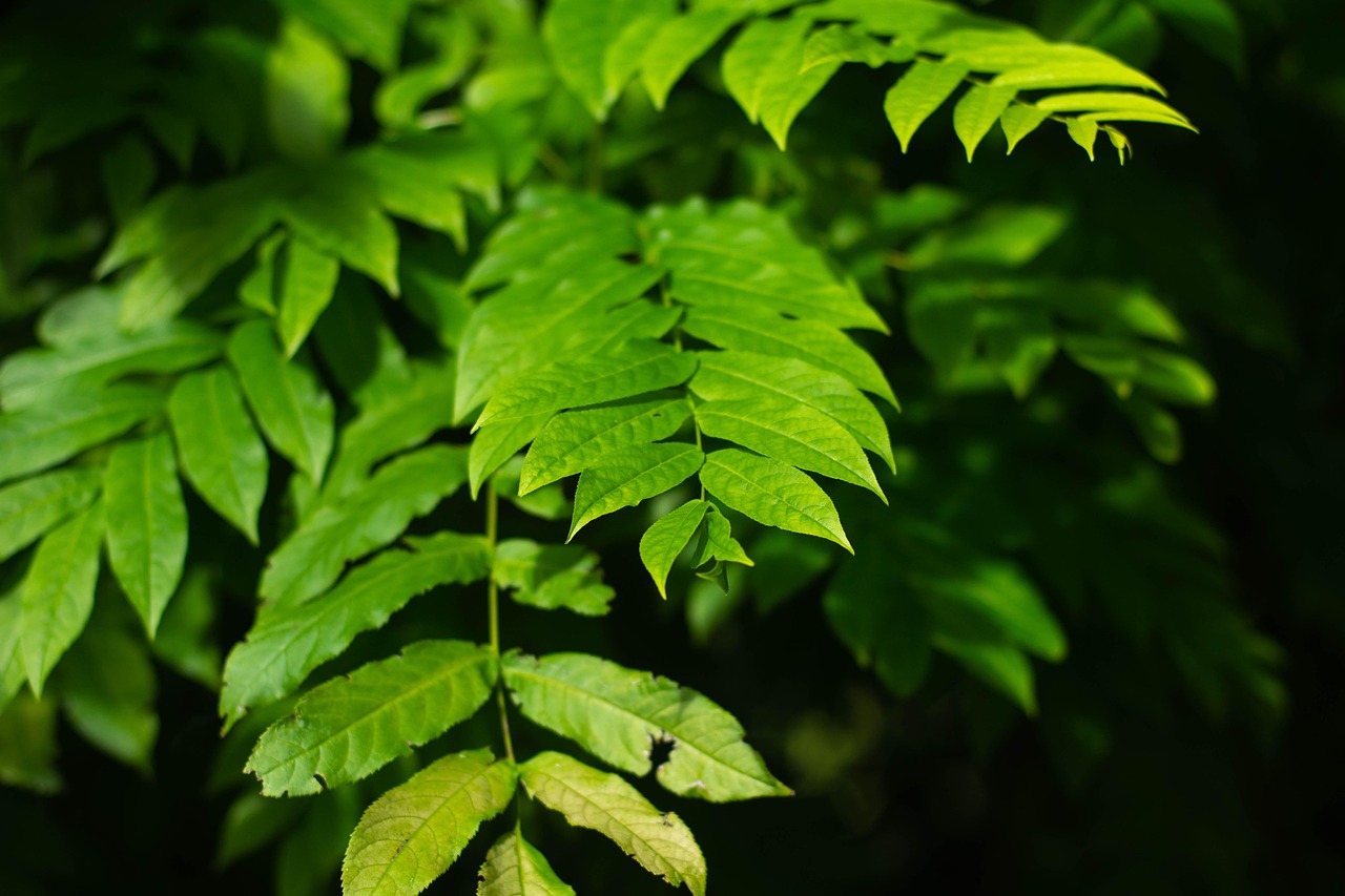 北海水印泉山最新動(dòng)態(tài)，城市發(fā)展與綠色生態(tài)的和諧共鳴
