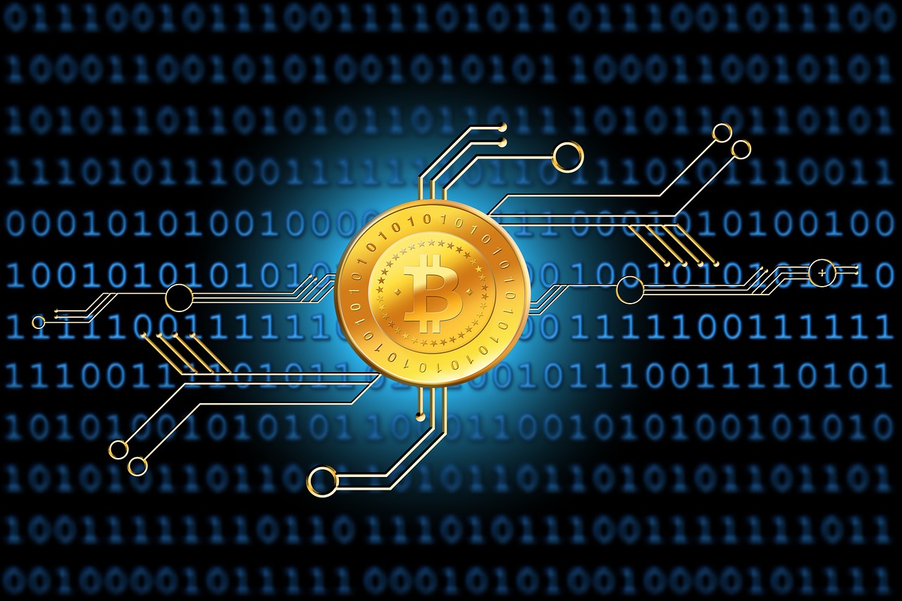 最新傳染病分類及種類概述，全面解析傳染病的世界
