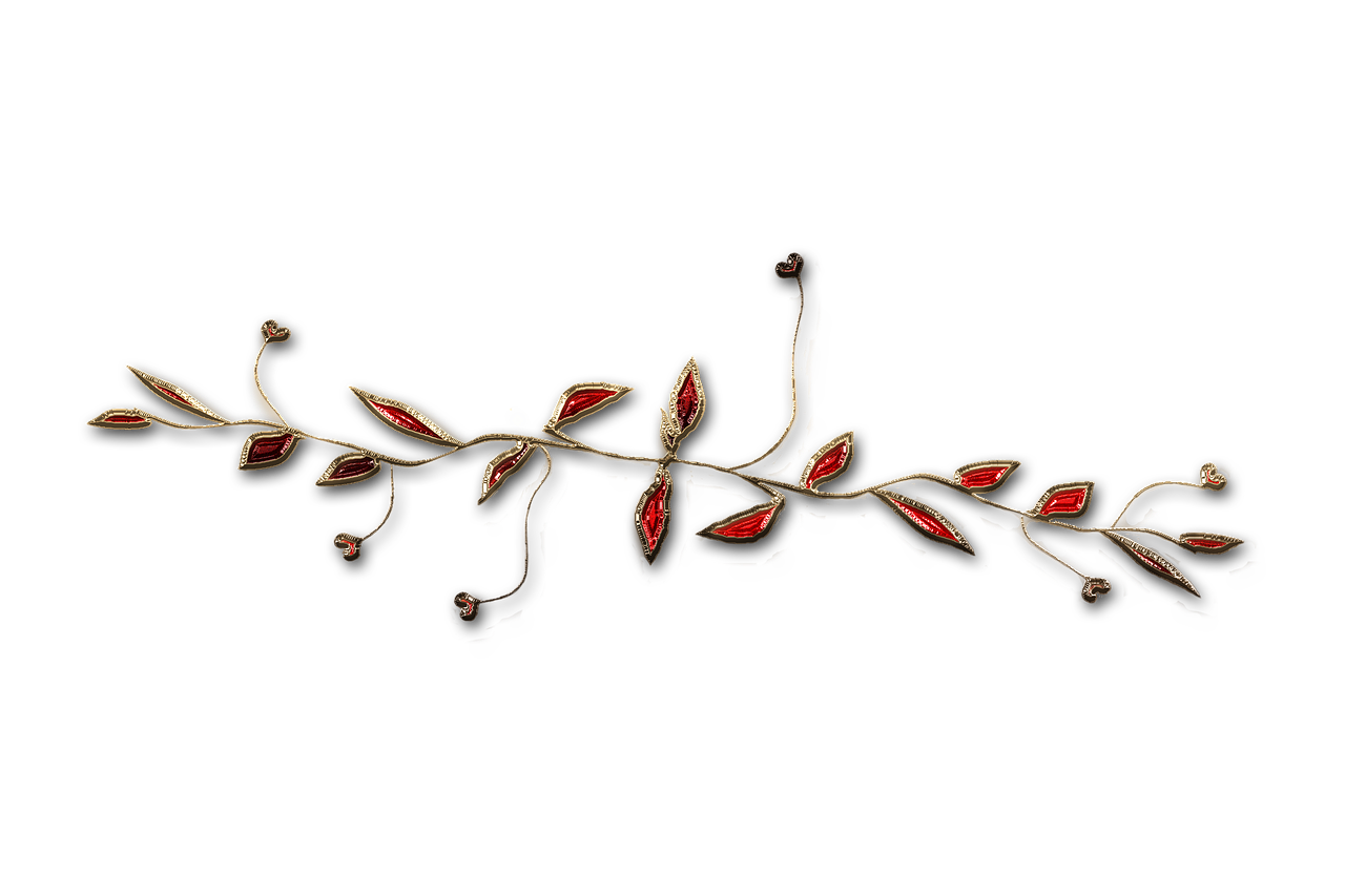 廣西大紅八角產(chǎn)業(yè)蓬勃發(fā)展，前景廣闊，最新消息與動(dòng)態(tài)
