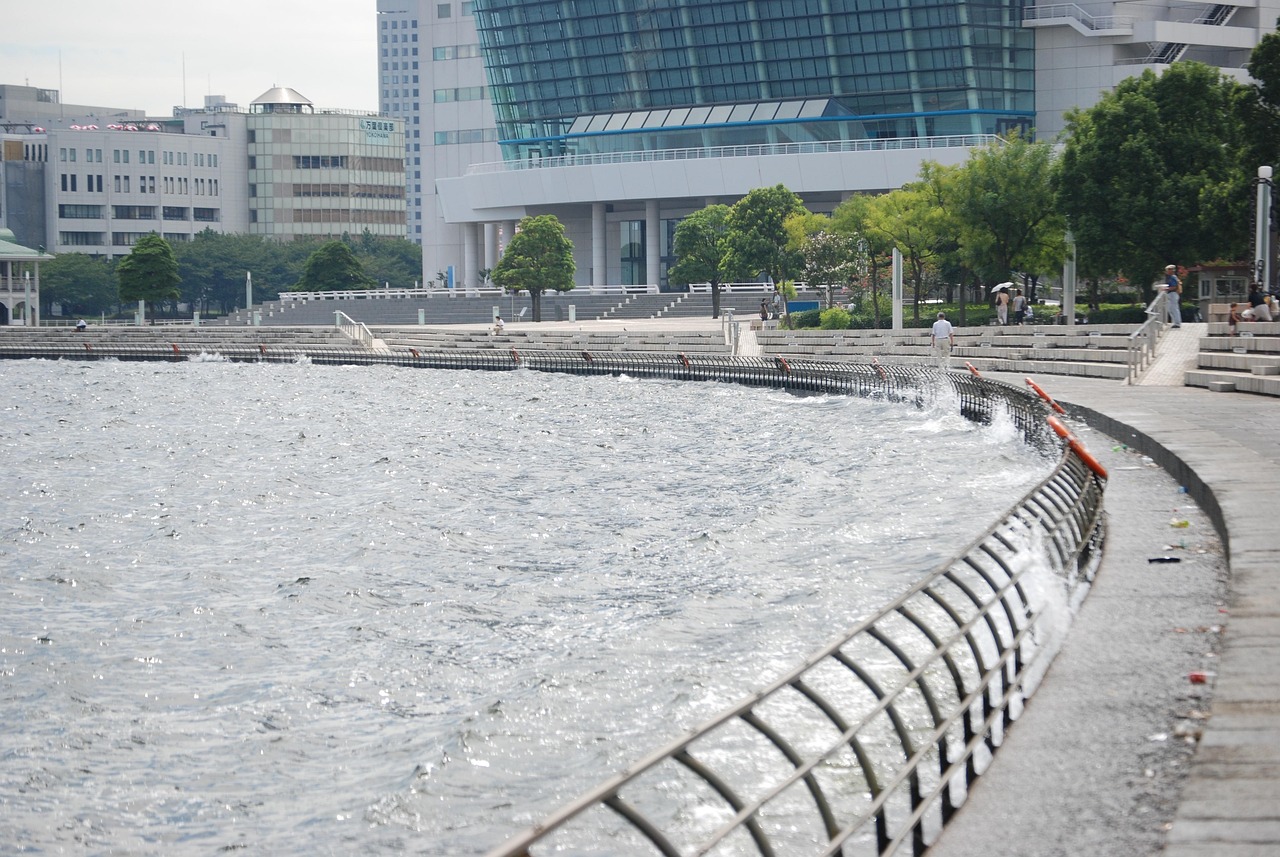 鄭州海昌海洋公園最新動態(tài)揭秘，揭開神秘面紗，展現(xiàn)海洋魅力奇觀