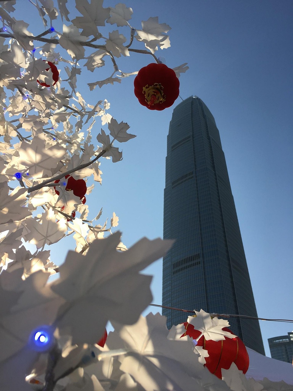 漫漫長(zhǎng)夜新版本砍樹探索，全新體驗(yàn)之旅